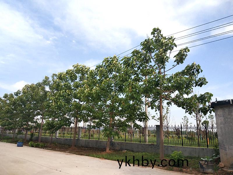 濟寧(ning)市大(da)氣環(huan)境質(zhi)量2015年12月份13縣市區(qu)排(pai)名