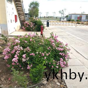 廠(chang)景圖(tu)