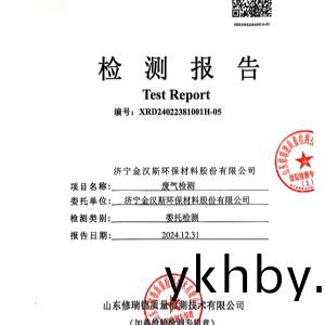 檢(jian)測報(bao)告（2024.12.31）