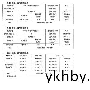 檢測(ce)報(bao)告（2024.12.31）
