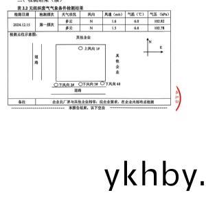 檢(jian)測報(bao)告(gao)（2024.12.31）